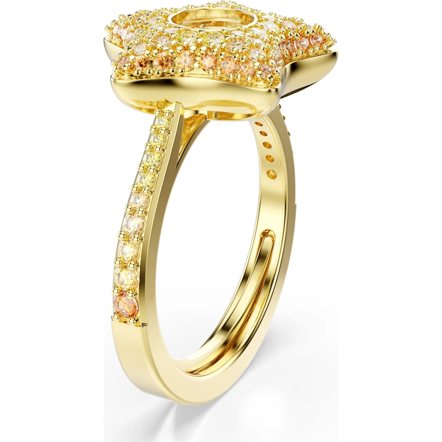 Anello Sublima