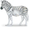 Elegance of Africa SCS Edizione Annuale 2021 Zebra Amai