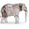 Elegance of Africa SCS Edizione Annuale 2022 Elefante Fayola