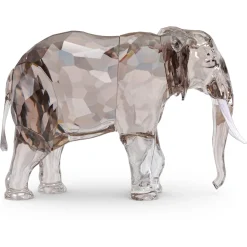 Elegance of Africa SCS Edizione Annuale 2022 Elefante Fayola