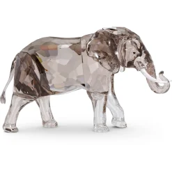 Elegance of Africa SCS Edizione del Giubileo 2022 Elefante Zena