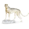 Elegance of Africa SCS Edizione Annuale 2023 Ghepardo Mehira