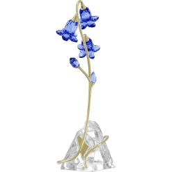 Florere Campanula Blu