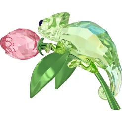 Idyllia Camaleonte e Tulipano