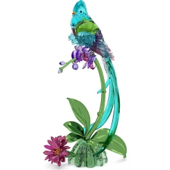 Idyllia Quetzal e Orchidea