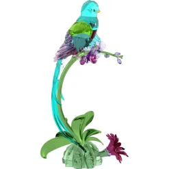 Idyllia Quetzal e Orchidea