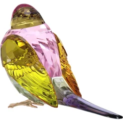 Idyllia SCS Diamante di Gould