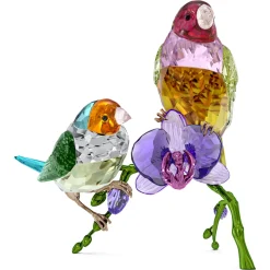 Idyllia SCS Edizione Annuale 2024 Diamanti di Gould