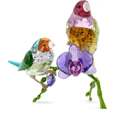Idyllia SCS Edizione Annuale 2024 Diamanti di Gould
